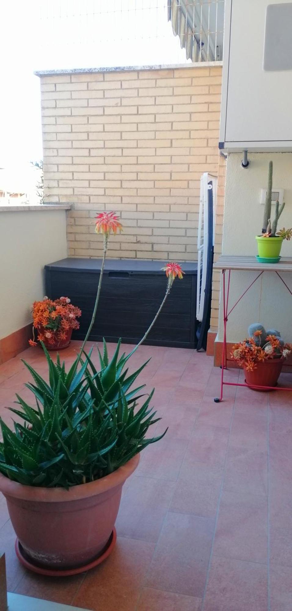 A Few Steps From The Sea Fiumicino Exterior foto